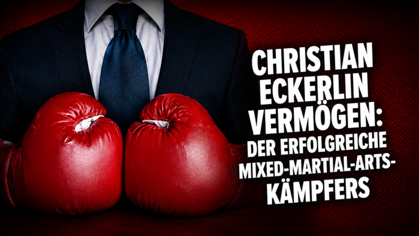 Christian Eckerlin Vermögen